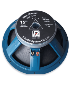 P Audio 15 300 w speaker