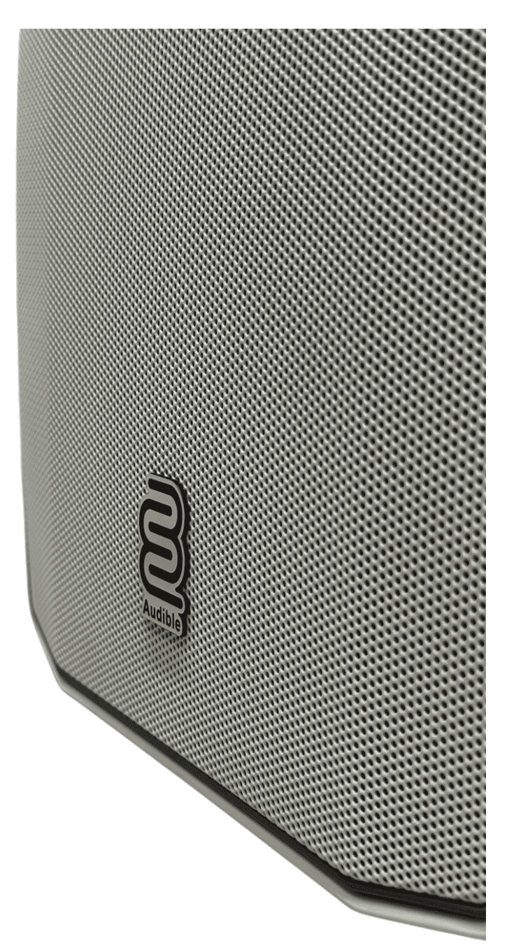 Audible Wall Mounted Speaker