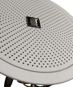 Audible Ceiling Speaker LTH-701