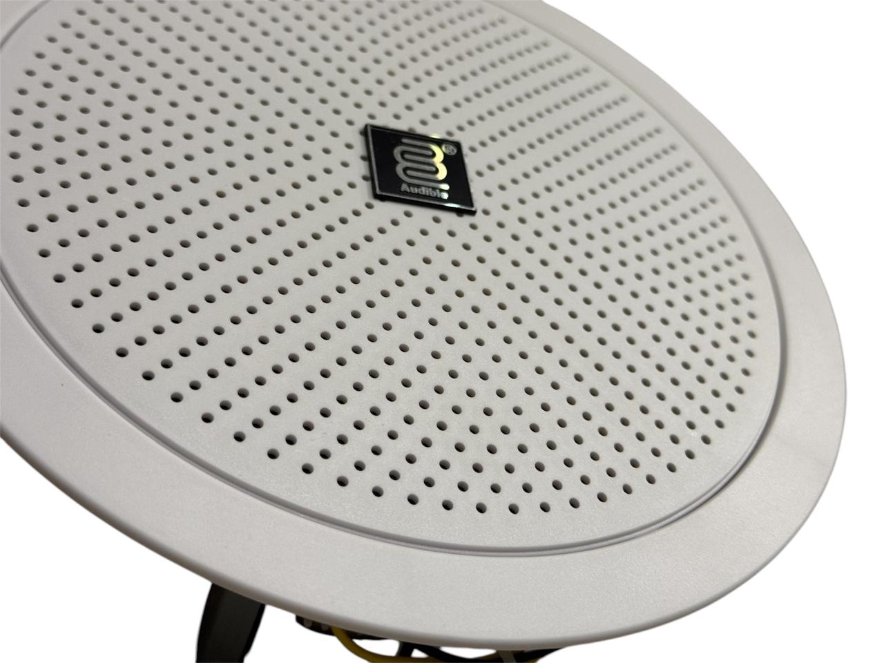 Audible Ceiling Speaker LTH-701